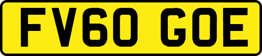 FV60GOE