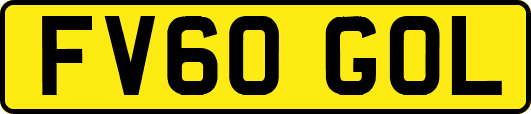FV60GOL