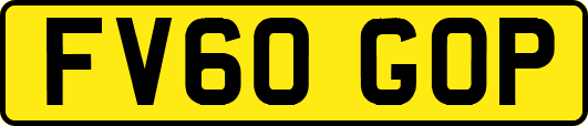 FV60GOP