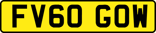 FV60GOW