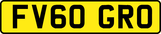 FV60GRO