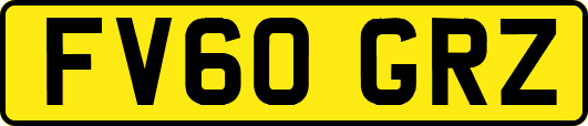 FV60GRZ