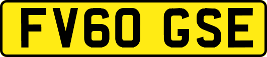 FV60GSE