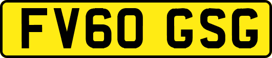 FV60GSG