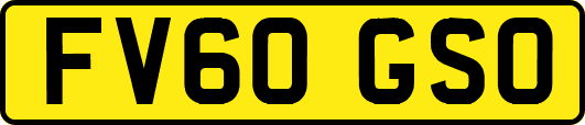 FV60GSO