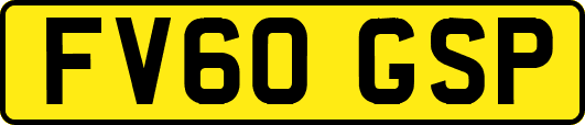 FV60GSP
