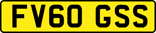 FV60GSS