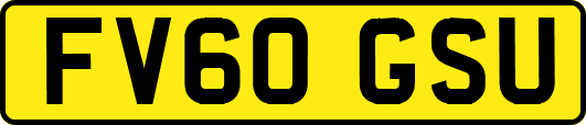 FV60GSU