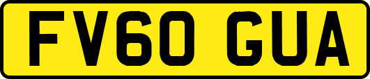 FV60GUA