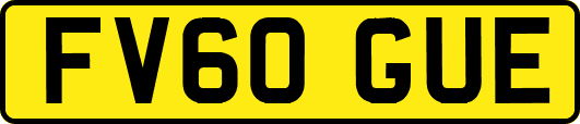 FV60GUE