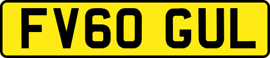 FV60GUL
