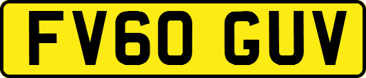 FV60GUV