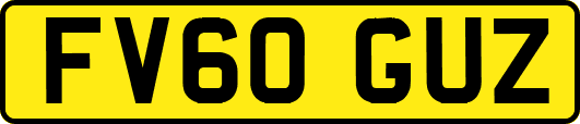 FV60GUZ