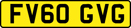 FV60GVG