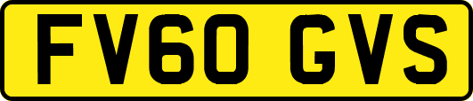 FV60GVS