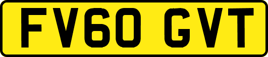 FV60GVT