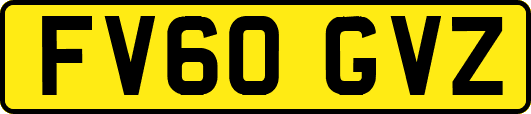 FV60GVZ