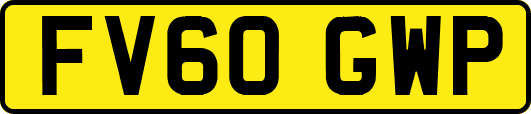 FV60GWP
