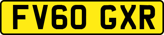 FV60GXR