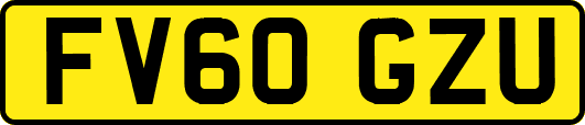 FV60GZU