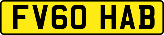 FV60HAB
