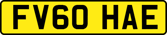FV60HAE