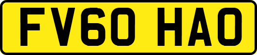 FV60HAO