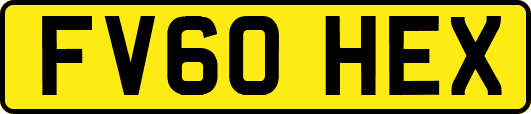 FV60HEX