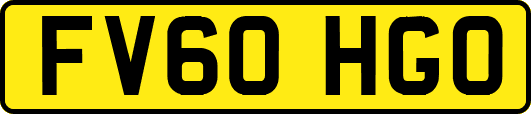 FV60HGO