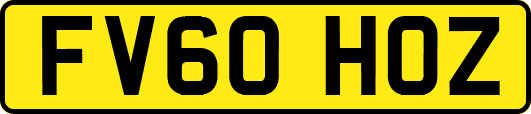 FV60HOZ