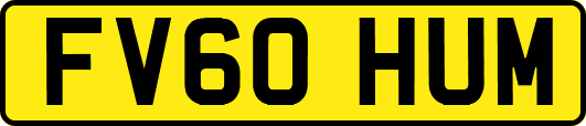 FV60HUM