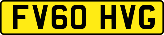FV60HVG