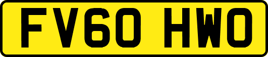 FV60HWO