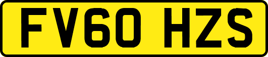 FV60HZS