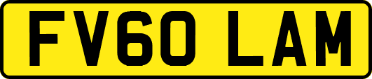FV60LAM