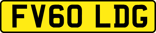 FV60LDG