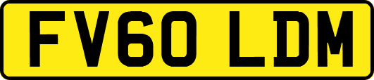 FV60LDM