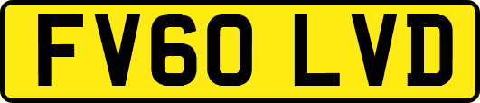 FV60LVD
