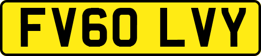 FV60LVY