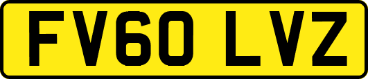 FV60LVZ