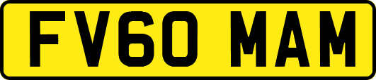 FV60MAM