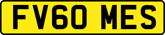 FV60MES