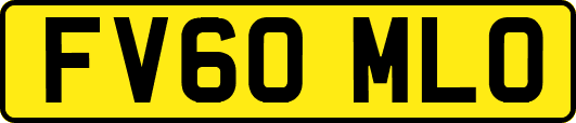 FV60MLO