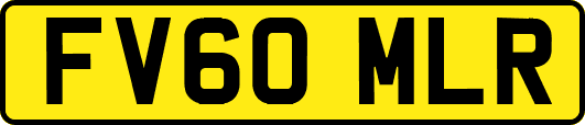FV60MLR