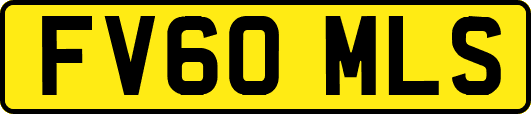 FV60MLS