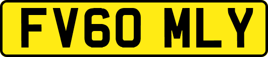FV60MLY