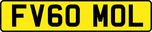 FV60MOL