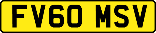 FV60MSV