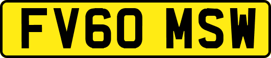 FV60MSW