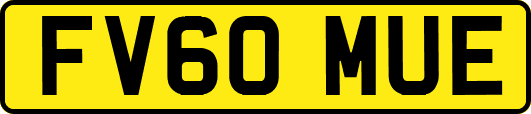 FV60MUE